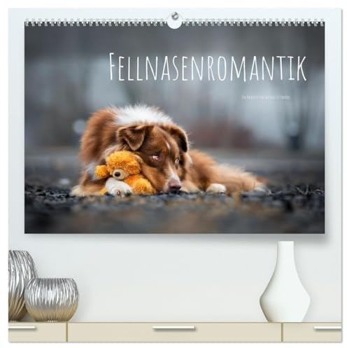 Fellnasenromantik (hochwertiger Premium Wandkalender 2026 DIN A2 quer), Kunstdruck in Hochglanz: Hunde - Die bunte Welt der Vierbeiner (CALVENDO Tiere)