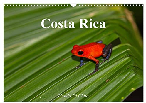 Costa Rica (Wandkalender 2026 DIN A3 quer), CALVENDO Monatskalender: Costa Rica - Land der Regenwälder und Vulkane (CALVENDO Orte)