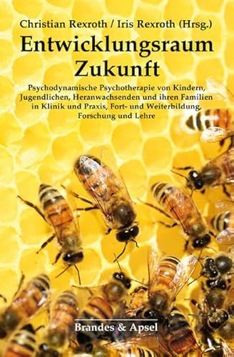 Entwicklungsraum Zukunft: Psychodynamische Psychotherapie mit Kindern, Jugendlichen, Heranwachsenden und ihren Familien in Klinik und Praxis, Fort- und weiterbildung, Forschung und Lehre