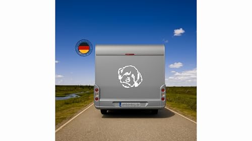 amberdog Hundeaufkleber Lagotto Romagnolo – Kopf-Silhouette – in Weiß– 20 cm – wetterfest & UV-beständig – Autoaufkleber für Wohnmobil, Van, Laptop, Tür & mehr | Kopf-Silhouette – in Weiß oder Schwarz – 20, 30 cm – Autoaufkleber für Wohnmobil, Van, Laptop, Tür & mehr