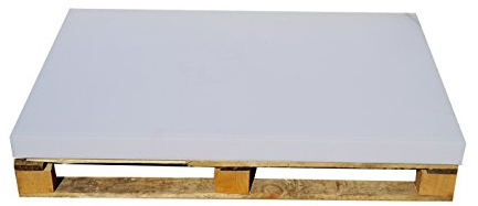 Master Palettenkissen, Palettensofa, Palettenpolster, Matratzenkissen (120x80x8cm) Schaumstoff für Europalette, Hundekissen, Auflage (Schaumstoff ohne Bezug) (120x80x10)