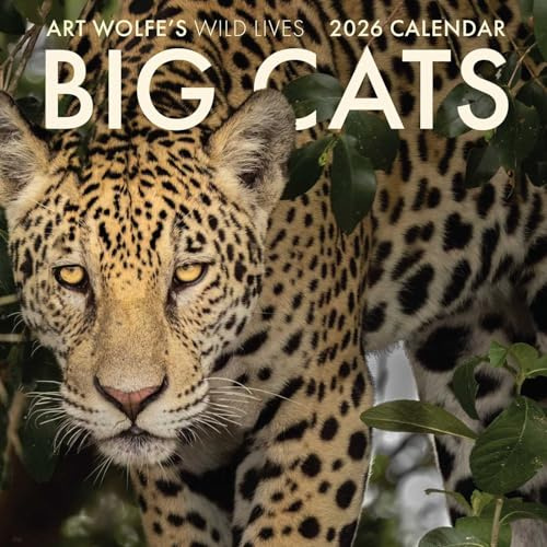 2026 Big Cats Wall Calendar: Art Wolfe's Wild Lives