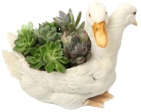 Générique Jardinière Canard - Pots de Originaux | Vase Décoratif pour Jardin, Cactus, Décoration Campagnarde et Rangement de Bijoux