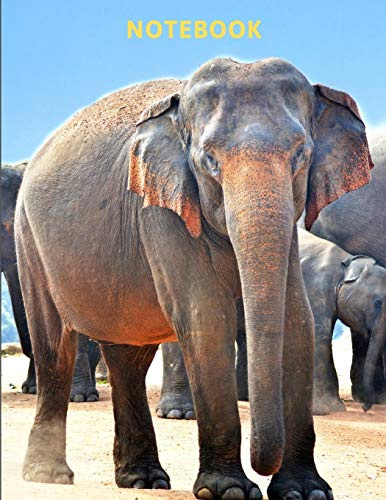 Notebook: Elephant Themed Notebook With 120 Pages of Lined Paper