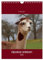 Alpakas erleben (Wandkalender 2025 DIN A4 hoch), CALVENDO Monatskalender: Ein Alpaka-Allerlei … (CALVENDO Tiere)
