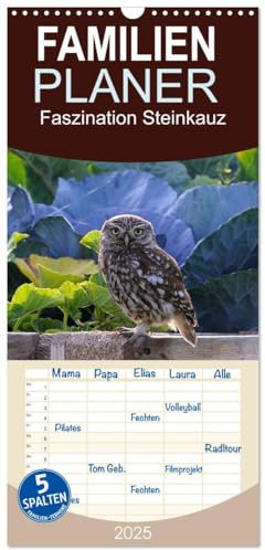 Familienplaner 2025 - Faszination Steinkauz mit 5 Spalten (Wandkalender, 21 cm x 45 cm), CALVENDO: Einmalige Bilder von Steinkäuzen in freier Natur. (CALVENDO Tiere)