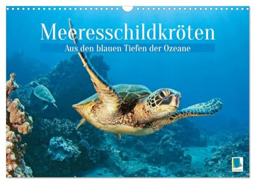 Meeresschildkröten: Aus den blauen Tiefen der Ozeane (Wandkalender 2026 DIN A3 quer), CALVENDO Monatskalender: Meeresschildkröten: Freiheit in den Tiefen der Meere (CALVENDO Tiere)