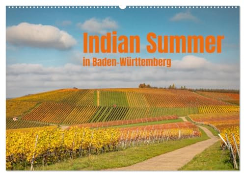 Indian Summer in Baden-Württemberg (Wandkalender 2026 DIN A2 quer), CALVENDO Monatskalender: Herbstlich gefärbte Weinberge im Schwäbischen (CALVENDO Natur)