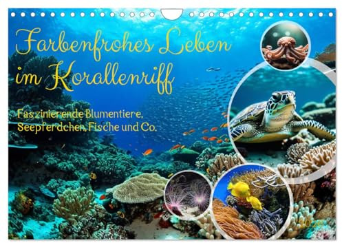 Farbenfrohes Leben im Korallenriff (Wandkalender 2026 DIN A4 quer), CALVENDO Monatskalender: Faszinierende Blumentiere, Seepferdchen, Fische und Co. (CALVENDO Tiere)