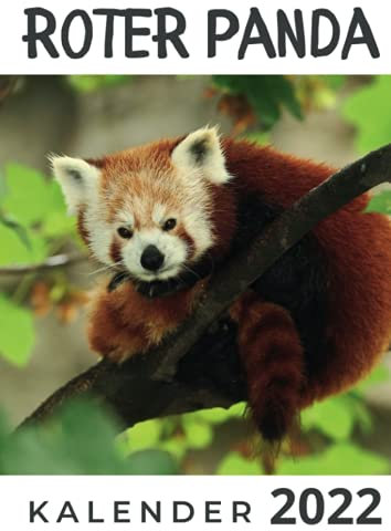 Roter Panda: Kalender 2022
