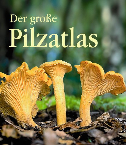 Ullmann Medien