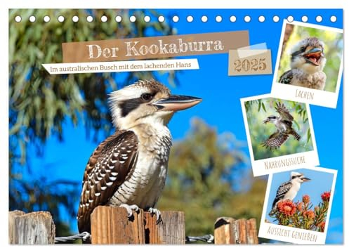 Der Kookaburra - Im australischen Busch mit dem lachenden Hans (Tischkalender 2025 DIN A5 quer), CALVENDO Monatskalender: KI-generierte Einblicke in das Kookaburra-Leben im Outback (CALVENDO Tiere)