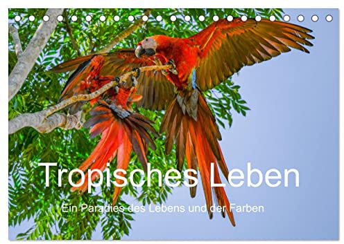 Tropisches Leben Ein Paradies des Lebens und der Farben (Tischkalender 2026 DIN A5 quer), CALVENDO Monatskalender: Eine vielfarbig Reise durch den ... vom Regenwald bis zum Ozean. (CALVENDO Orte)
