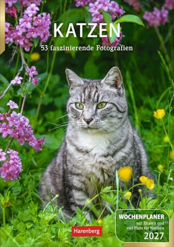 Katzen Wochenplaner 2027 - 53 faszinierende Fotografien: Wandkalender mit Platz für Notizen und vielen süßen Katzenfotos. Tierkalender 2027 mit praktischer Wochenansicht. Hochformat 25 x 35,5 cm