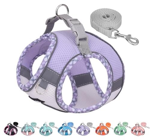 AIITLE Teacup Puppy Harness with Leash - Adjustable Soft Vest with Magic Velcro & Reflective Safety Strips, Easy-Put-On for Poodles, Pomeranians - Gym, Hiking, Travel (Purple-White, S)
