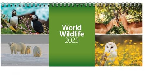 2026 World Wild Life Desk Calendar (CL08)