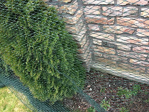 AGROHIT Vogelschutznetz, Reißfestes & Engmaschiges Gartennetz, Abdeckung für Beeten, Pflanzen & Teiche, Schutznetz gegen Vögel, Schmutz & Laub, Netz für Obst & Gemüse, 2 x 5 m, 10 m²