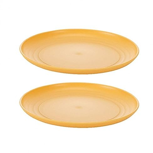 REIK Piatto da Festa Confezione da 2 piatti piani piatti frutta piatti snack piatti pane piatti impilabili in plastica stoviglie cucina casalinga Piatto Pizza (Color : A)