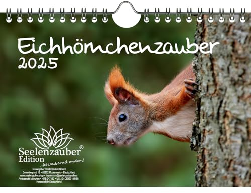 Eichhörnchenzauber DIN A5 Wandkalender für 2025 Eichhörnchen - Geschenkset Inhalt: 1x Kalender, 1x Weihnachtskarte (insgesamt 2 Teile)