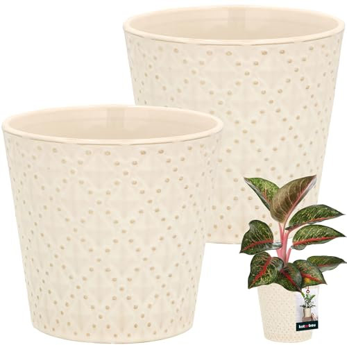 KOTARBAU® Vintage Blumentopf Übertopf Keramik Cremefarben ⌀ 12 cm Höhe 13 cm Glasiert 2 St. Trapez Blumenübertopf Groß für Zimmerpflanzen