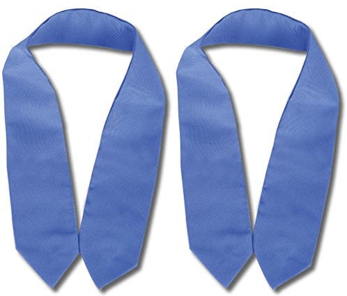 Bestlivings Raffhalter 2er Pack inkl. Befestigungsösen für Gardinen (Blau), viele Farben erhältlich
