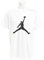 Nike Herren Jumpman T Shirt, Weiß / Schwarz, L EU