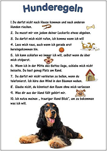 Merchandise for Fans Blechschild/Warnschild/Türschild - Aluminium - 20x30cm - - Hunderegeln - Motiv: Cocker Spaniel - 02