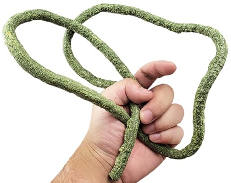 Hrtyvhin Reptiles Cachette pour plantes grimpantes - Feuilles - Terrarium - Jungle - Habitat de vie pour lézards, serpent, fausse plante décorative