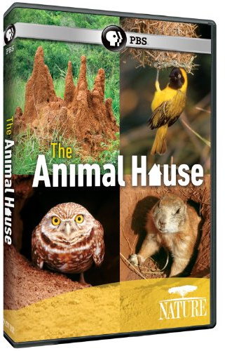 Nature: The Animal House