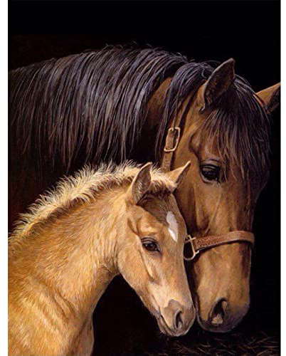 MXJSUA 5D Diamond Painting Bilder Pferde, 5D Diamant Painting Bilder Erwachsene, Diamond Painting Tiere Set 5D Diamond Painting Erwachsene Diamond Painting Pferde Diamant Painting Pferde 30x40 cm