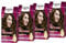 PALETTE Intensiv Creme Coloration 4-65 Warmes Braun, 4x 115 ML