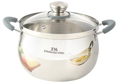 GXXINGIN Olla con Tapa de Acero Inoxidable 316, Resistente, de inducción, para Uso Comercial y doméstico, para 1 a 6 Personas (22 cm)