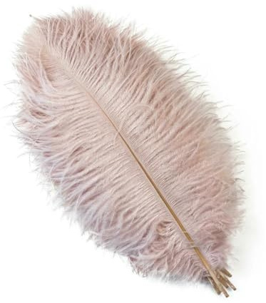 Lot de 10 plumes d'autruche bleues naturelles de 15 à 55 cm pour décoration de mariage, carnaval ou centre de table. Couleur rose pâle : 30 à 35 cm (12 à 14 pouces).