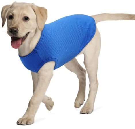 Hundeshirt für Mittelgroße Hunde | Sommer Hund T-Shirt Atmungsaktiv & Leicht | Weich & Bequem, Rundhals Design | Hunde Bekleidung | Cocker Spaniel, Border Collie (Saphirblau XL)