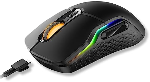 Rapoo VPRO VT200 kabelgebundene Gaming Maus programmierbare Tasten 12.400 DPI Sensor LED-Multi-Color Beleuchtungssystem ergonomisch für Rechtshänder PC & Mac - schwarz