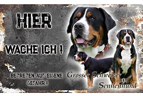 hier wache ich hund Grosser Schweizer Sennenhund 20/12,5 cm