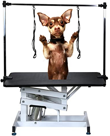 PRUJOY Professioneller Faltbarer hydraulischer Pflegetisch, Verstellbarer hydraulischer Hundepflegetisch, mit höhenverstellbarem Arm-Trockentisch, für Hunde großer Rassen