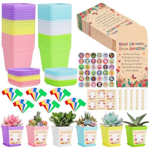 36Pack Gifts for Students from Teachers, School Leavers Flower Pots for 36 School Children, Class Gifts for Students from Teachers, Graduation End of Term Present for Children