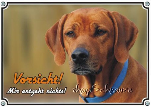 Petsigns Hundeschild Rhodesian Ridgeback - Metallschild - Warnschild - bis DIN A3, DIN A5