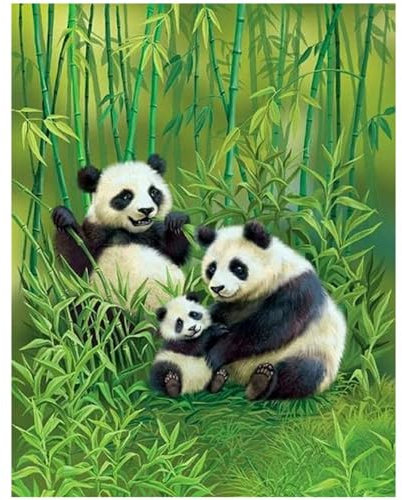 DCIDBEI Square Diamond Painting Quadratische Steine Panda 40x50cm Diamant Painting Bilder DIY 5D Kristall Strass Painting Pandabär-Familie Malen nach Zahlen Diamanten Dekoration und Geschenk