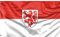 Die Stadt Braunschweig, Flagge Niedersachsen | Einzigartiger Designdruck | Made in EU (90x150 cm)