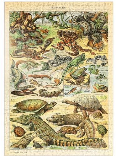 MyPuzzle Reptilien für alle, Vintage Art Poster, Adolphe Millot - Premium 1000 Teile Puzzle - MyPuzzle Sonderkollektion von Havana Puzzle Company