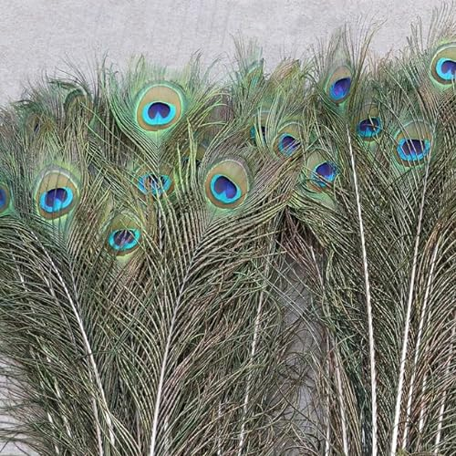 HBKUHIUT 20 Stück natürliche Pfauenfedern für Zuhause, Hotel, Bühne, Vase, Dekor, Basteln, Kleid, Federn, Zubehör, 60–70 cm, Farbe Natur, 20 Stück