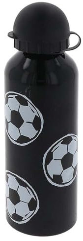 HOX 500ml Single Wall Stainless Steel Flip-Top Lid Water bottle | Eco-Friendly Reusable BPA-free | rust-resistant, Leak & Spill Proof | Ideal for Travel, Gym, Sports