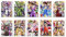 DKORARTE 10 Poster A4 Dragon, Goku, Vegeta, Ball Z, (29,7 x 21 cm)