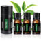 3 Stück Teebaumöl Bio Tea Tree Oil Ätherisches Öl von Natürlicher Teebaum Geeignet für Aromatherapie-Lampe Verwendet für Aromatherapie/Massage/Bad/Haut/Haar (10 ML)