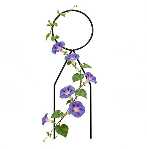 Pflanzen-Rankgitter, 13 – schlank, stabil, robust, wetterfest, Kletterpflanzen, Outdoor, Efeu, Rebe, Zimmerpflanzen, Clematis, Hof, Kletterpflanzen, Efeu, Ranken, Zimmerpflanzen, Clematishof