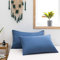 MOHAP Lot de 2- Taies d'oreiller 50x70cm Bleu Housse d'oreiller avec Une Fermeture Eclair en Microfibre