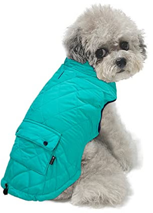 Dociote Hund Wintermantel Winterjacke mit Krageloch, Tasche, Baumwolle Gepolstert Hundemantel Weste für kleine Hunde 2XL Türkis