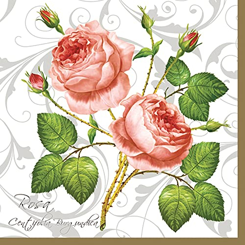 Maki Papierservietten, 3-lagig, Rosen-Design, 33 x 33 cm, 20 Stück, Rosa Centifolia Weiß